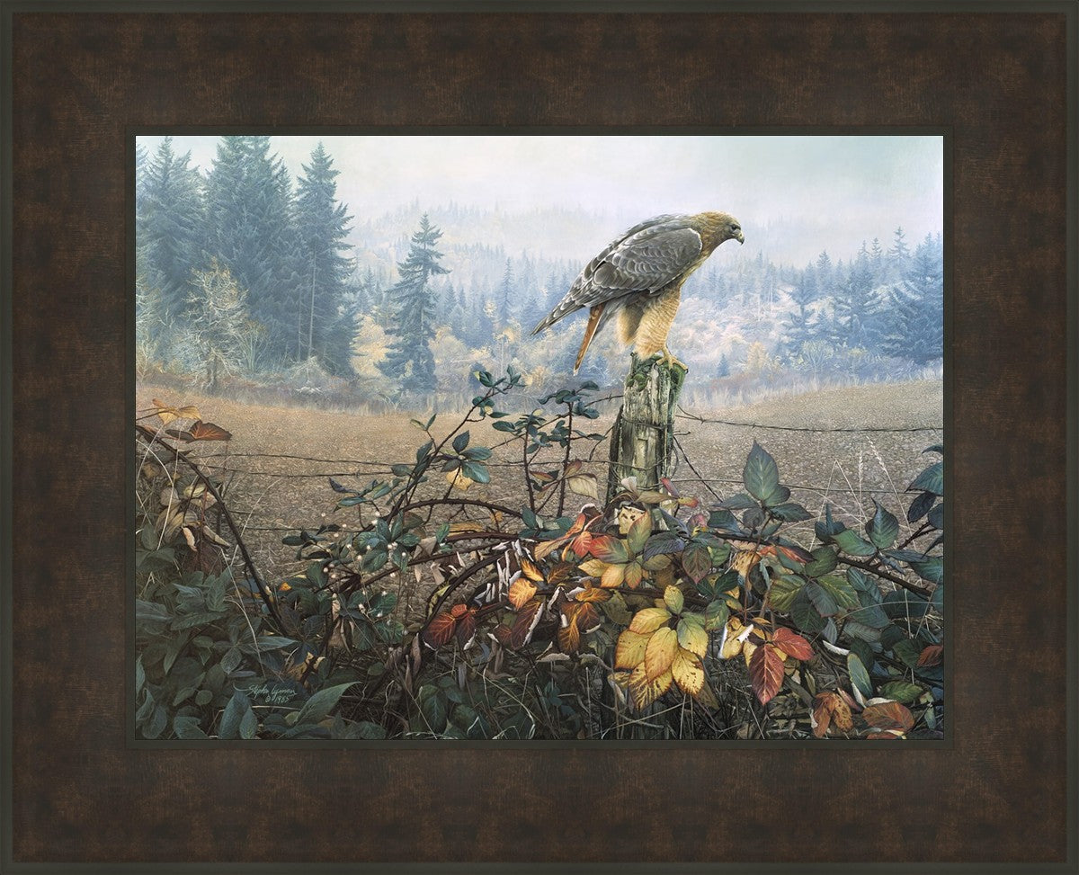 The Raptor's Watch