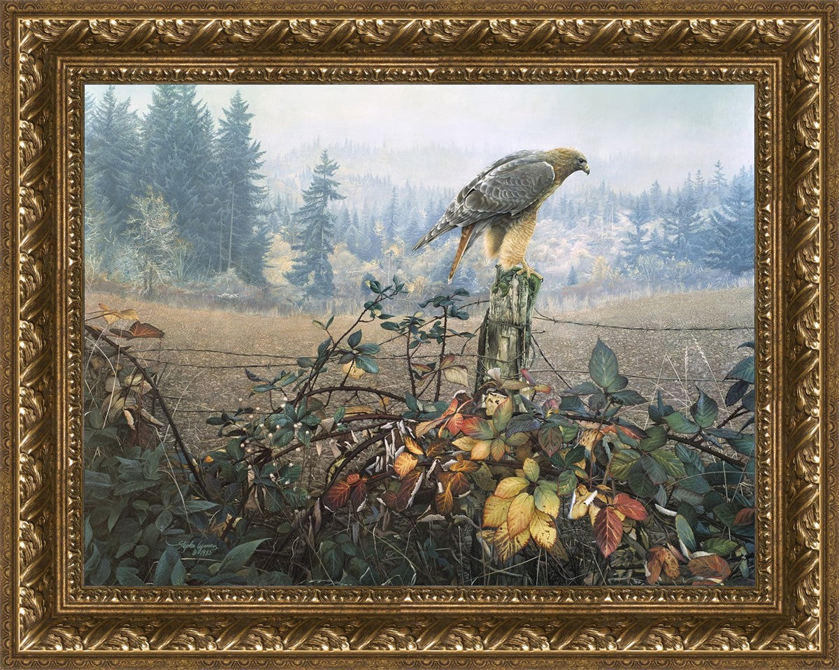 The Raptor's Watch