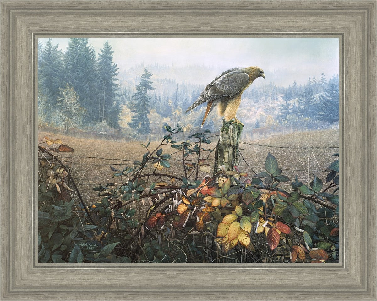 The Raptor's Watch