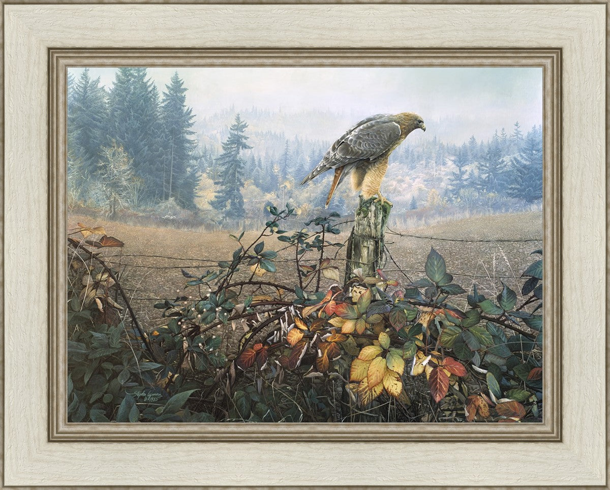 The Raptor's Watch