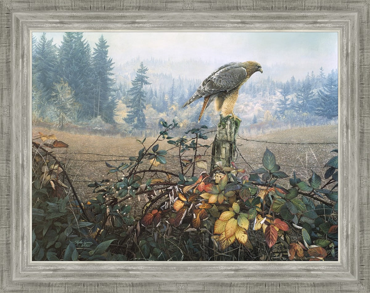 The Raptor's Watch