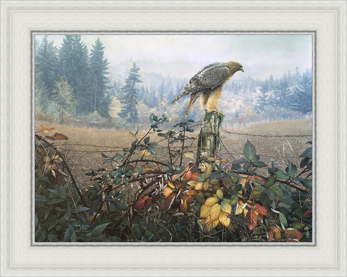 The Raptor's Watch