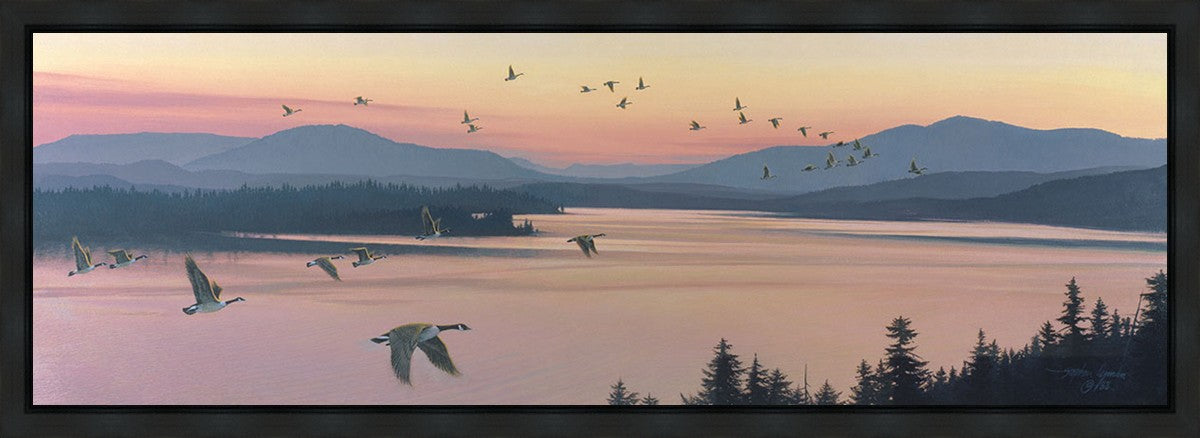 Sounds of Sunset