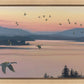 Sounds of Sunset