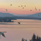 Sounds of Sunset