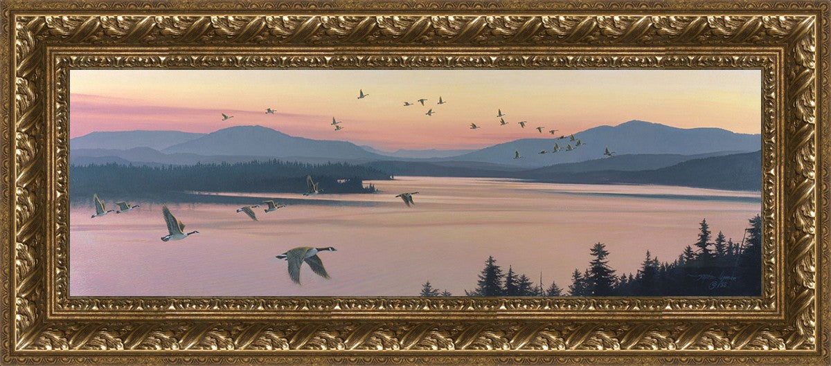Sounds of Sunset