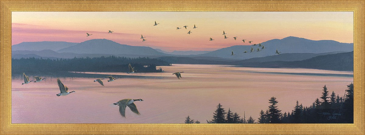 Sounds of Sunset