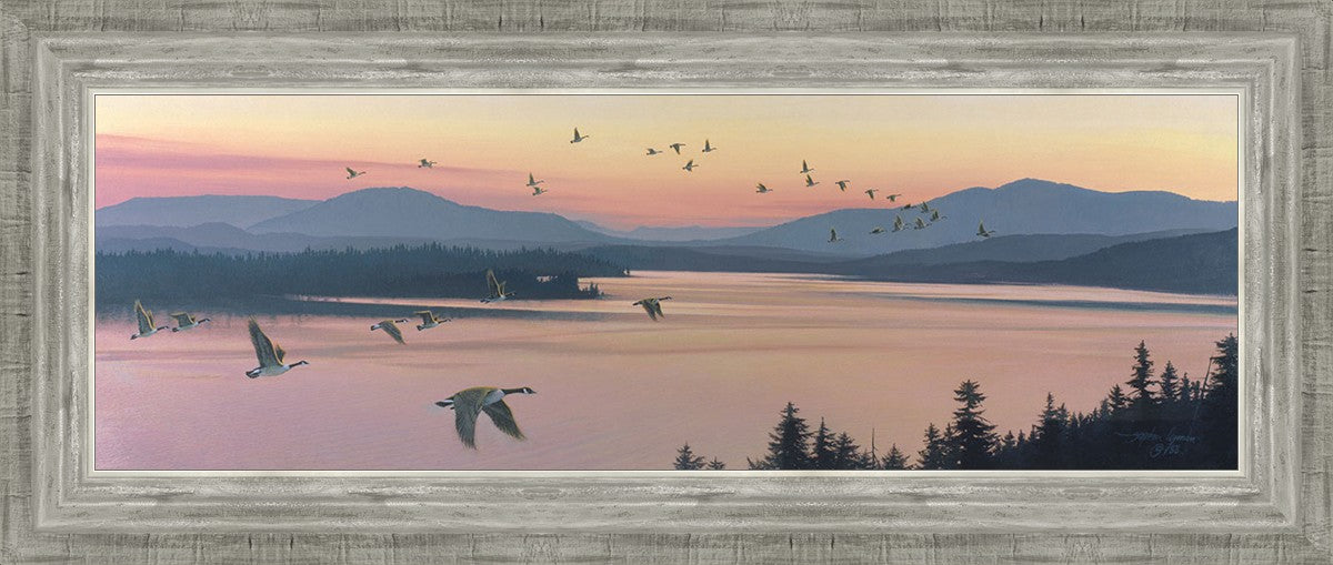 Sounds of Sunset