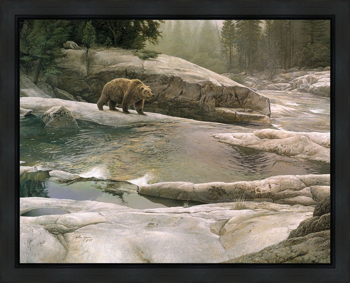Uzumati - Great Bear of Yosemite