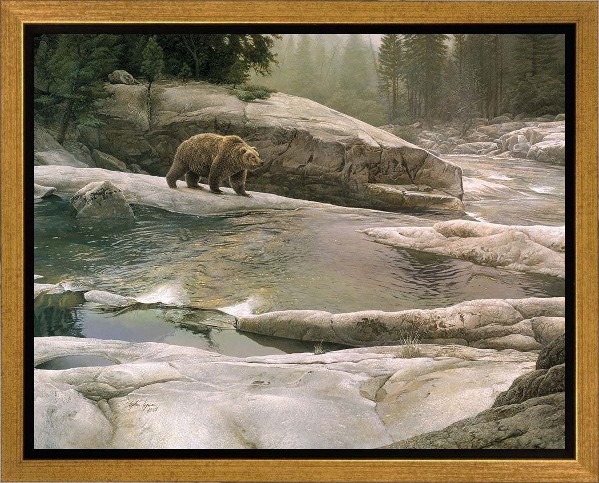 Uzumati - Great Bear of Yosemite