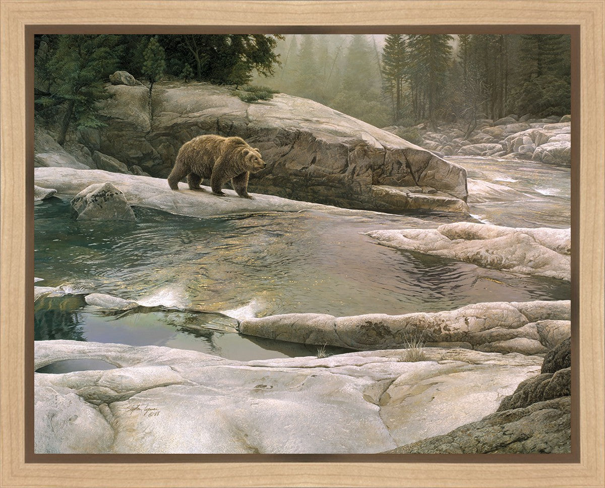Uzumati - Great Bear of Yosemite