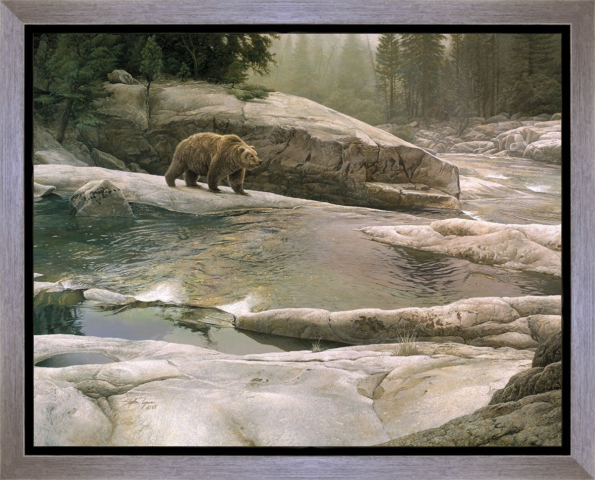 Uzumati - Great Bear of Yosemite