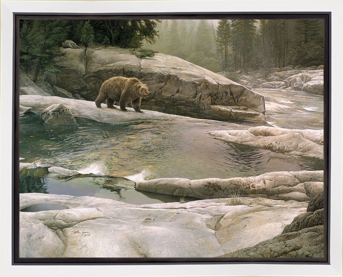 Uzumati - Great Bear of Yosemite