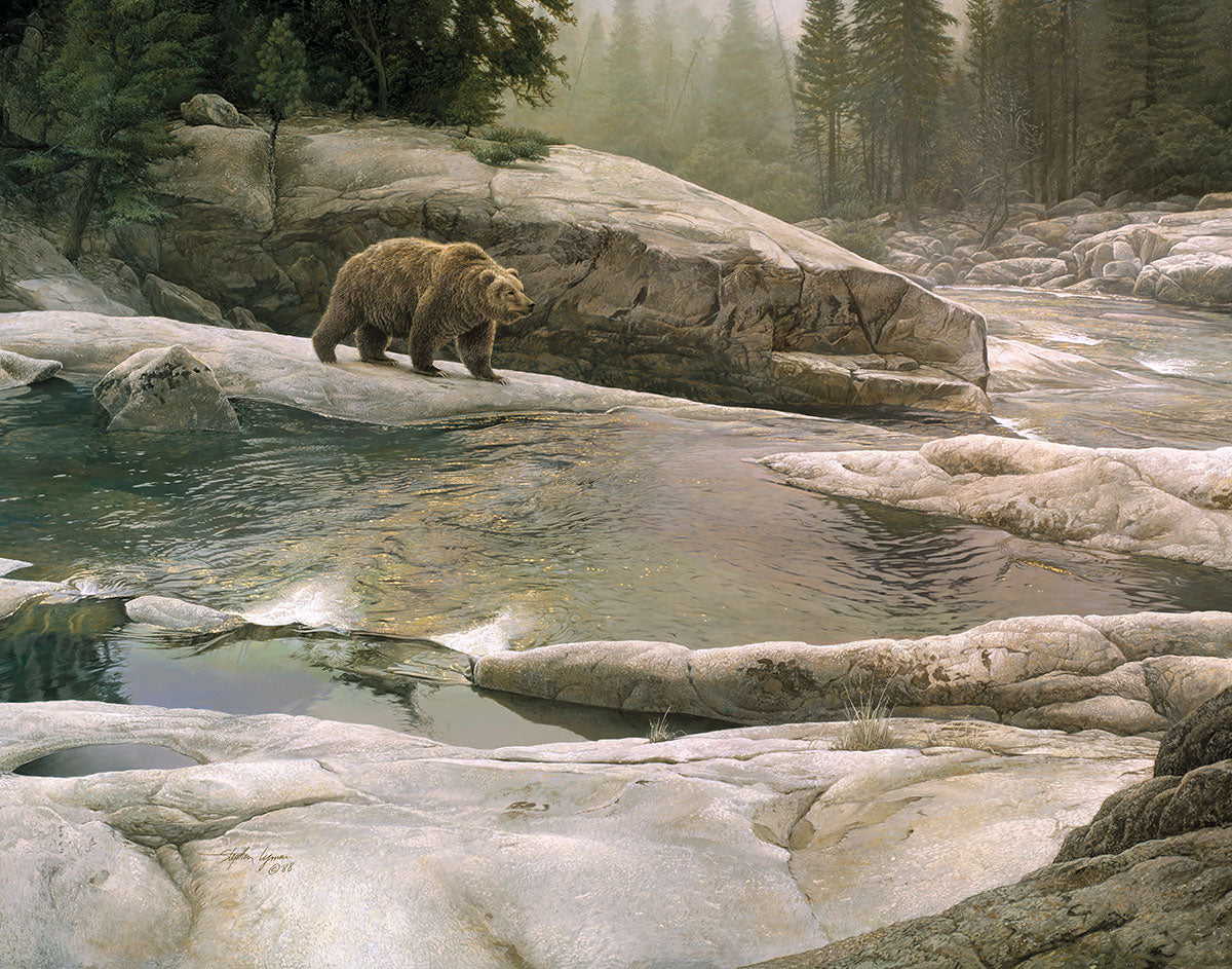 Uzumati - Great Bear of Yosemite