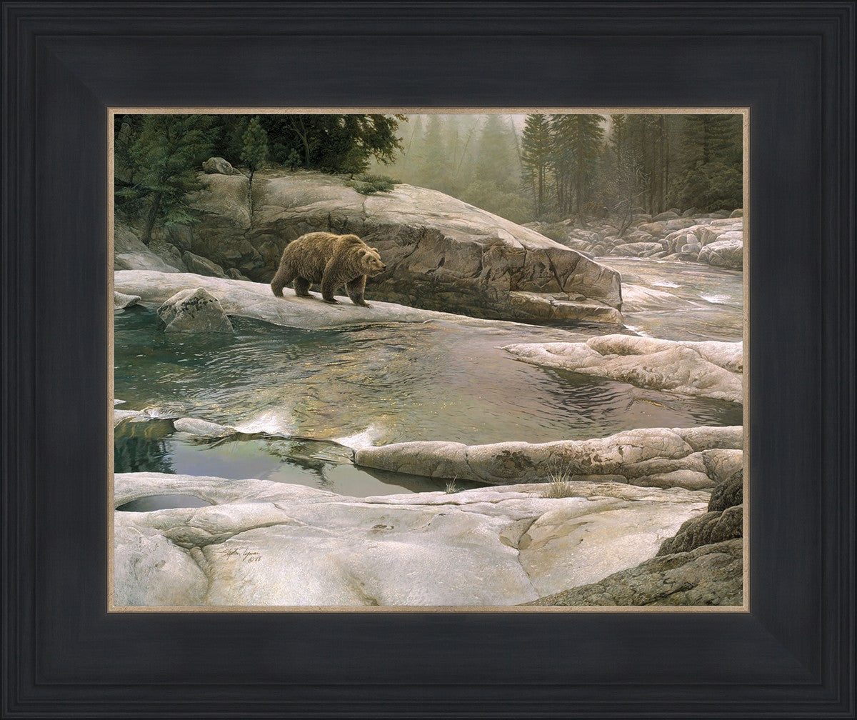Uzumati - Great Bear of Yosemite