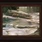 Uzumati - Great Bear of Yosemite