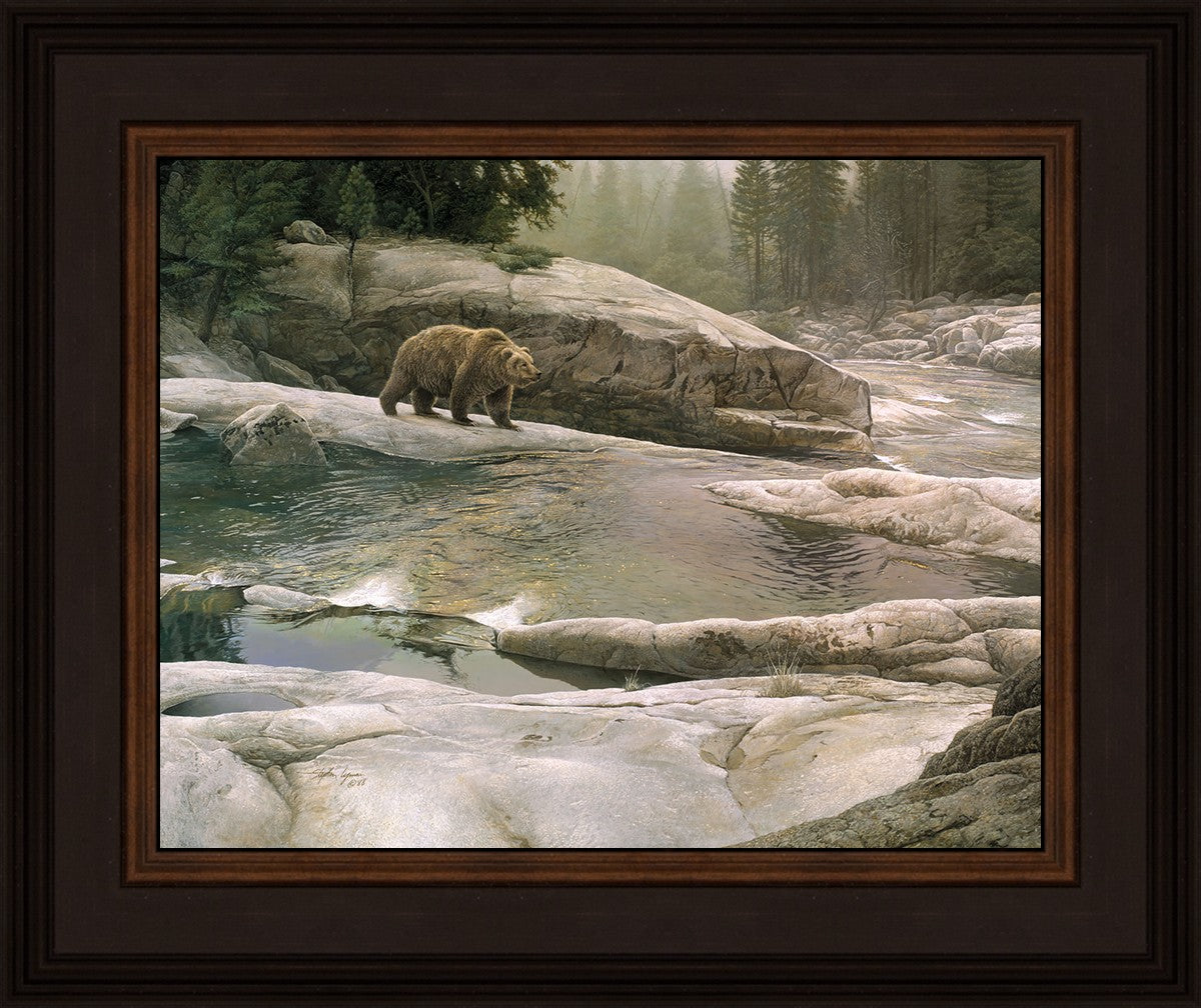 Uzumati - Great Bear of Yosemite