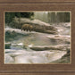 Uzumati - Great Bear of Yosemite