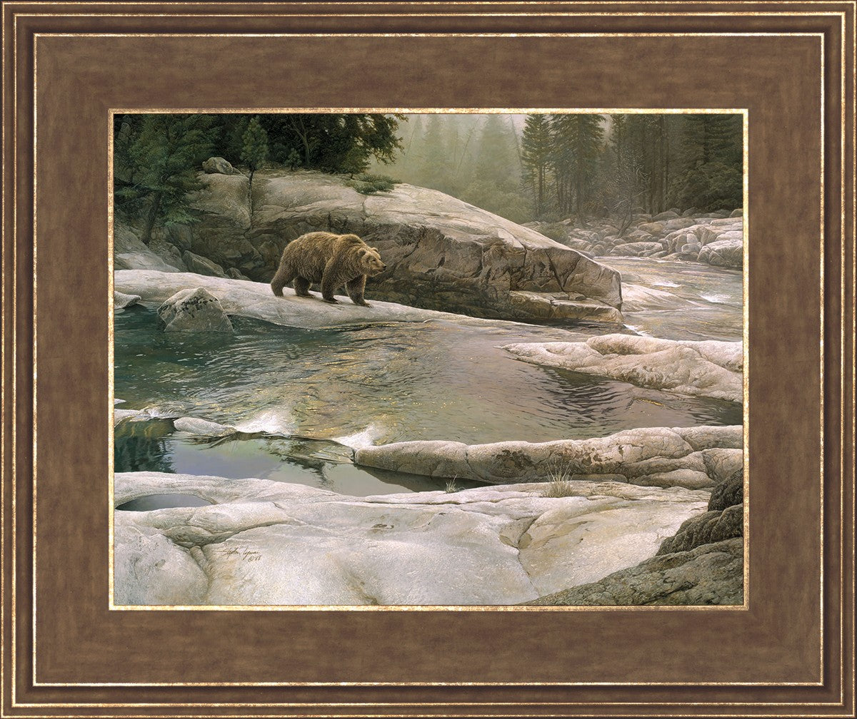 Uzumati - Great Bear of Yosemite