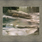 Uzumati - Great Bear of Yosemite
