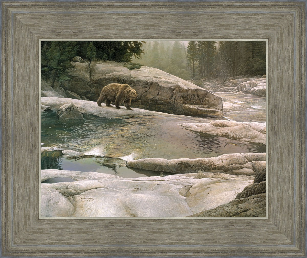 Uzumati - Great Bear of Yosemite