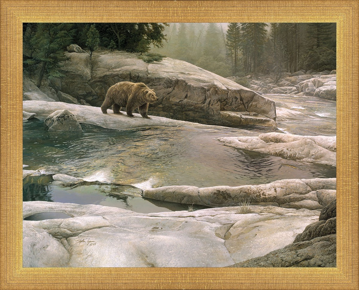 Uzumati - Great Bear of Yosemite