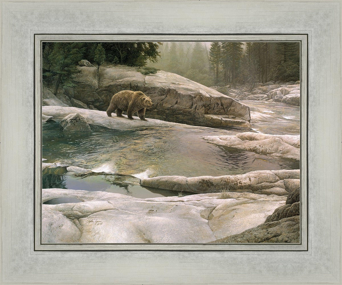 Uzumati - Great Bear of Yosemite