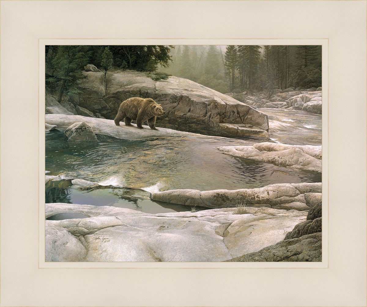 Uzumati - Great Bear of Yosemite