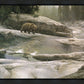 Uzumati - Great Bear of Yosemite
