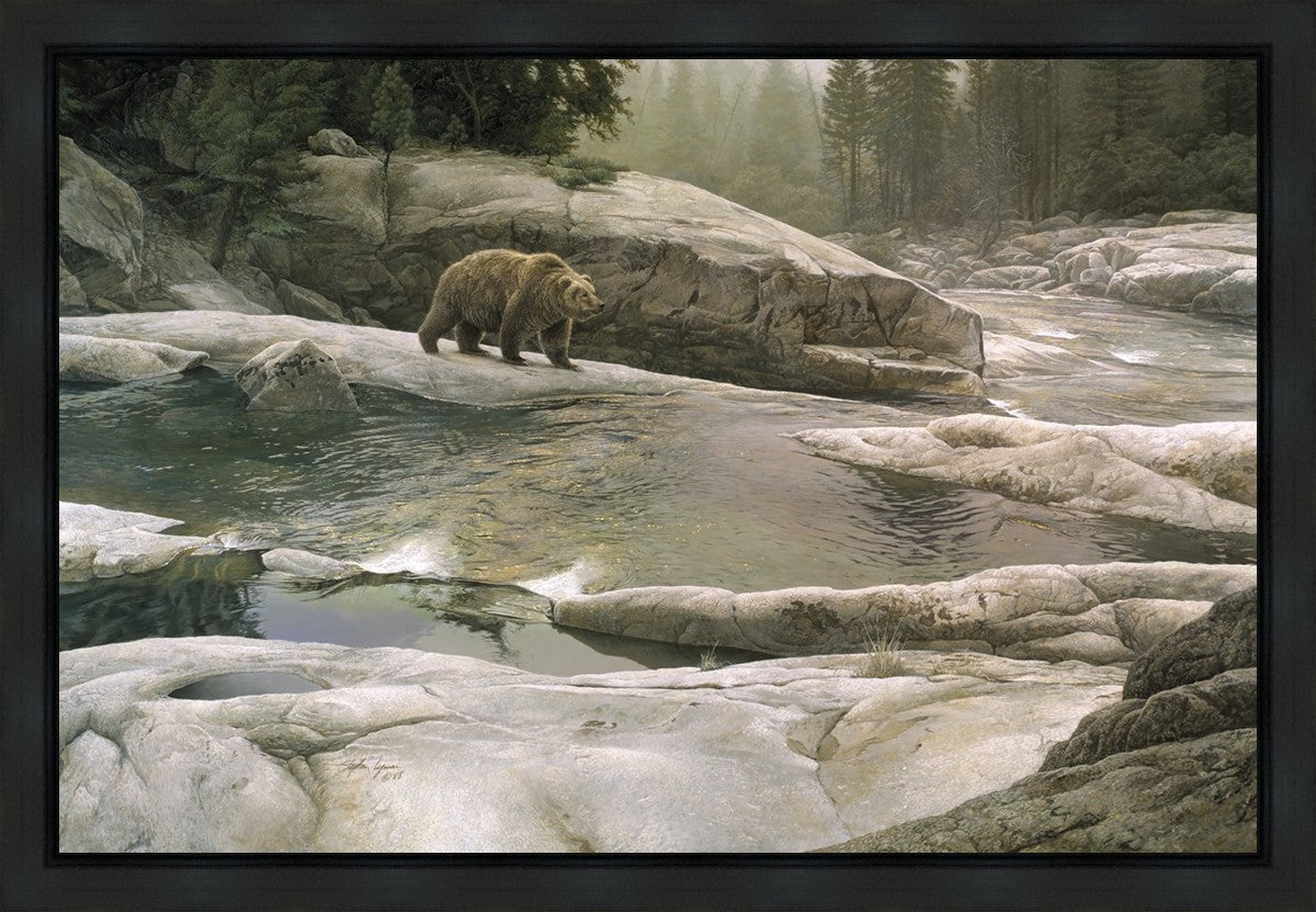 Uzumati - Great Bear of Yosemite