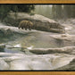 Uzumati - Great Bear of Yosemite