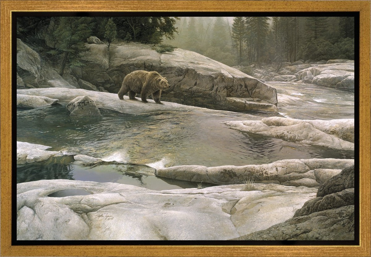 Uzumati - Great Bear of Yosemite