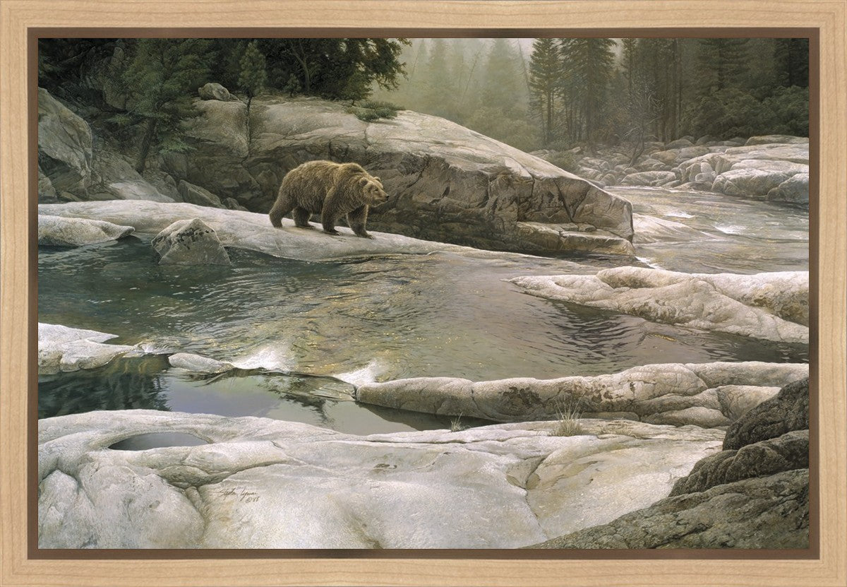 Uzumati - Great Bear of Yosemite