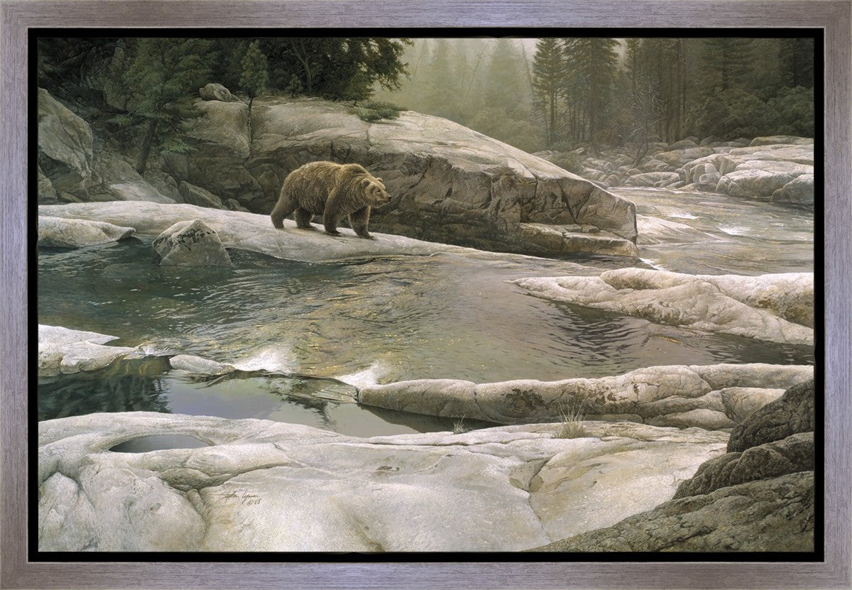Uzumati - Great Bear of Yosemite