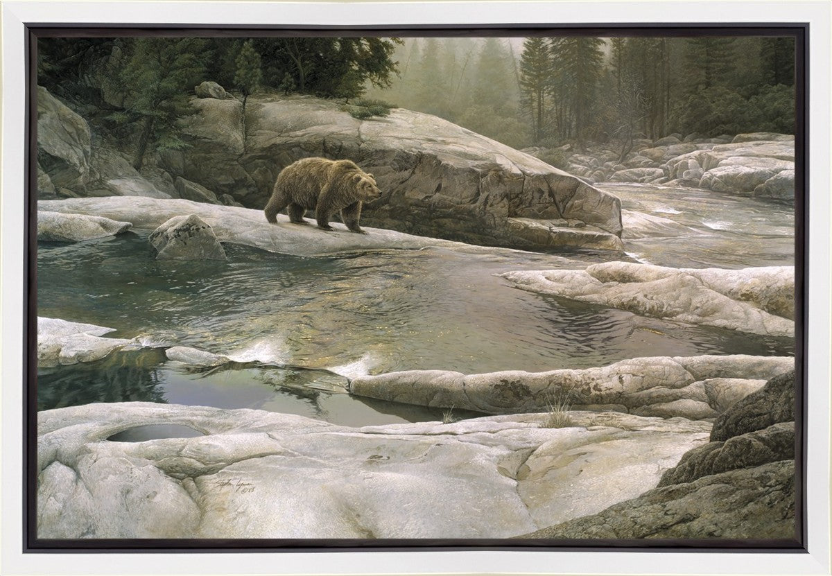 Uzumati - Great Bear of Yosemite