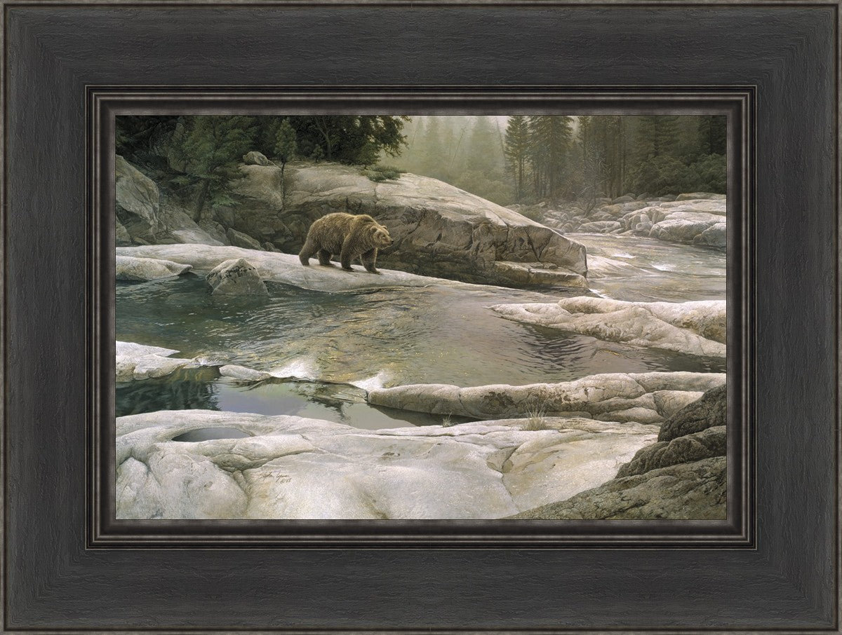 Uzumati - Great Bear of Yosemite