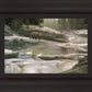 Uzumati - Great Bear of Yosemite