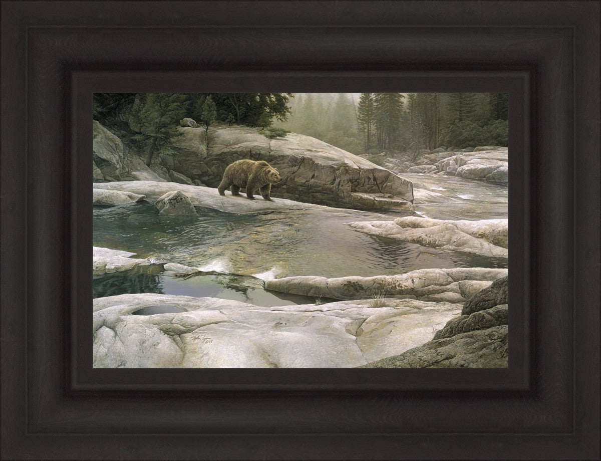 Uzumati - Great Bear of Yosemite