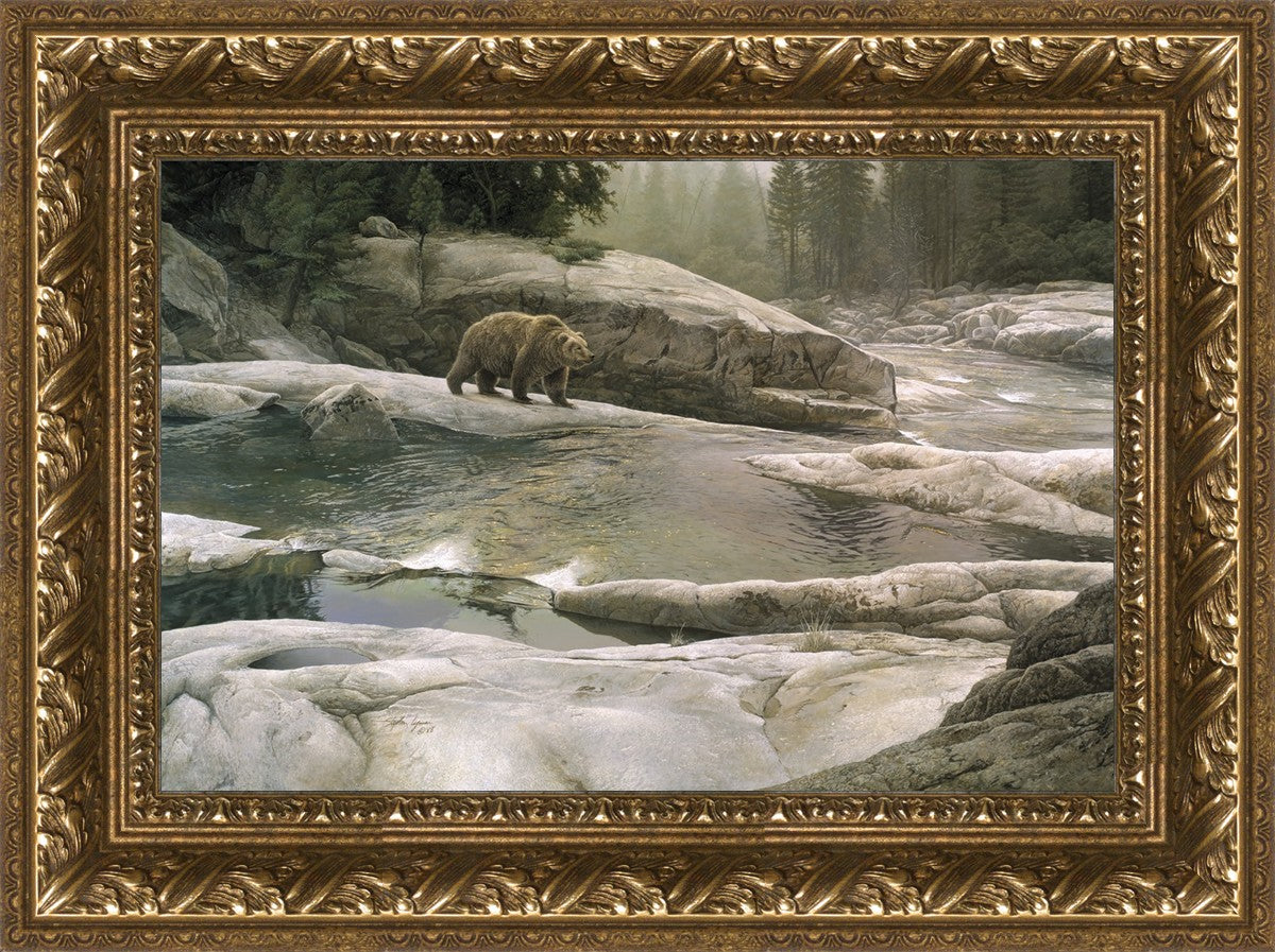 Uzumati - Great Bear of Yosemite