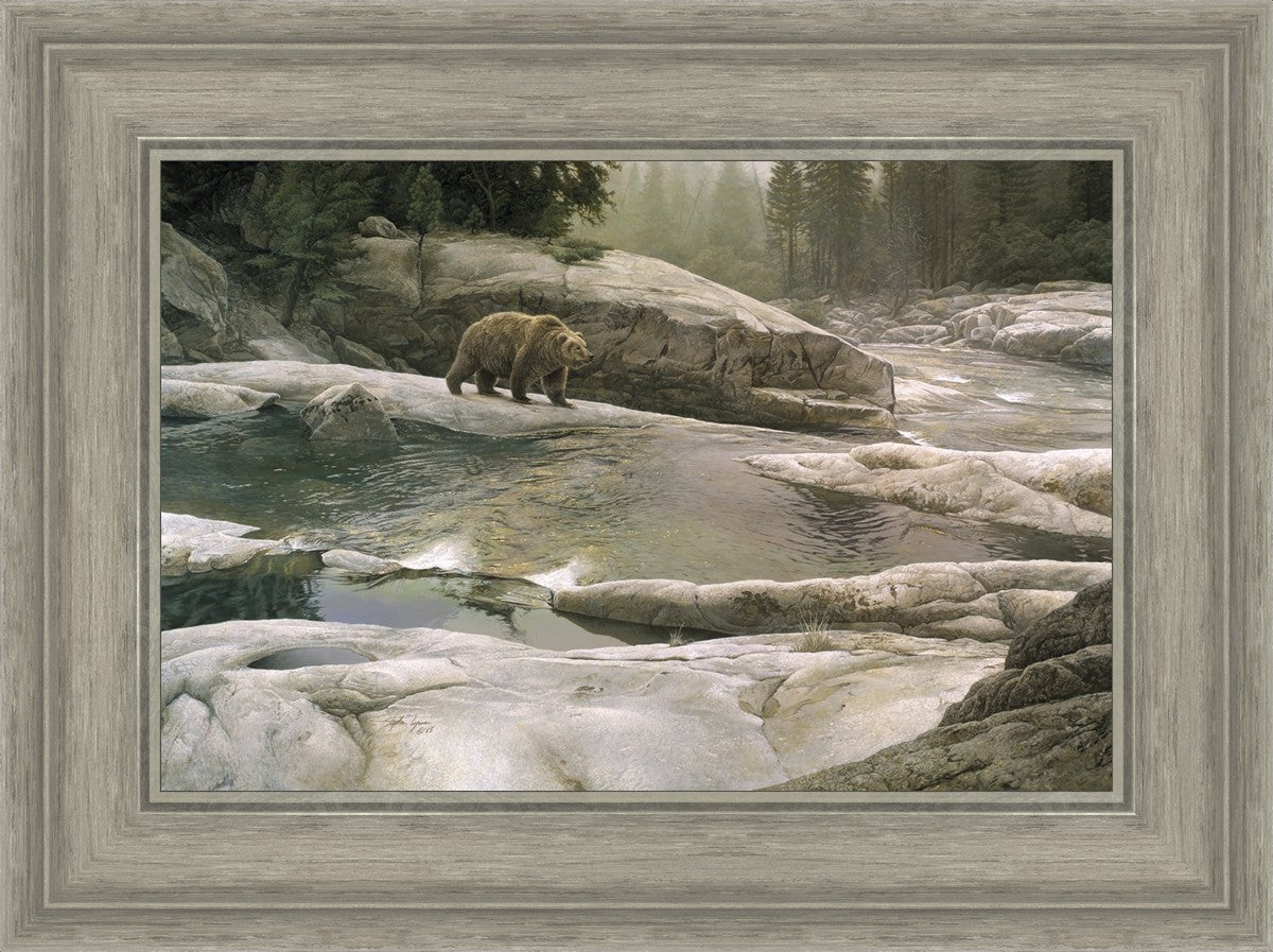 Uzumati - Great Bear of Yosemite