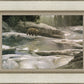 Uzumati - Great Bear of Yosemite