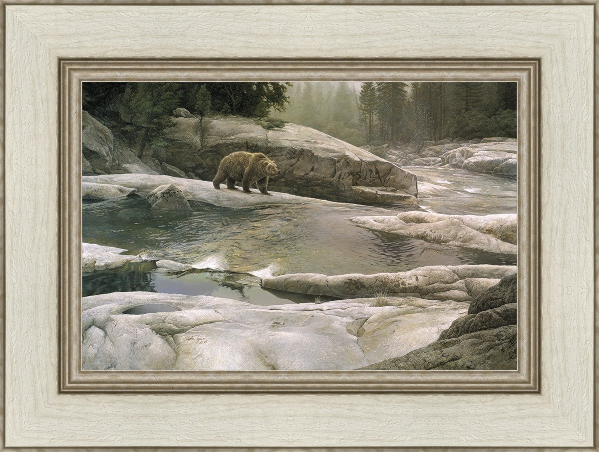 Uzumati - Great Bear of Yosemite