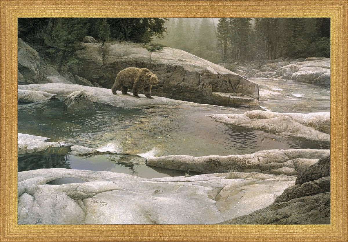 Uzumati - Great Bear of Yosemite