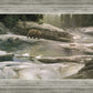 Uzumati - Great Bear of Yosemite