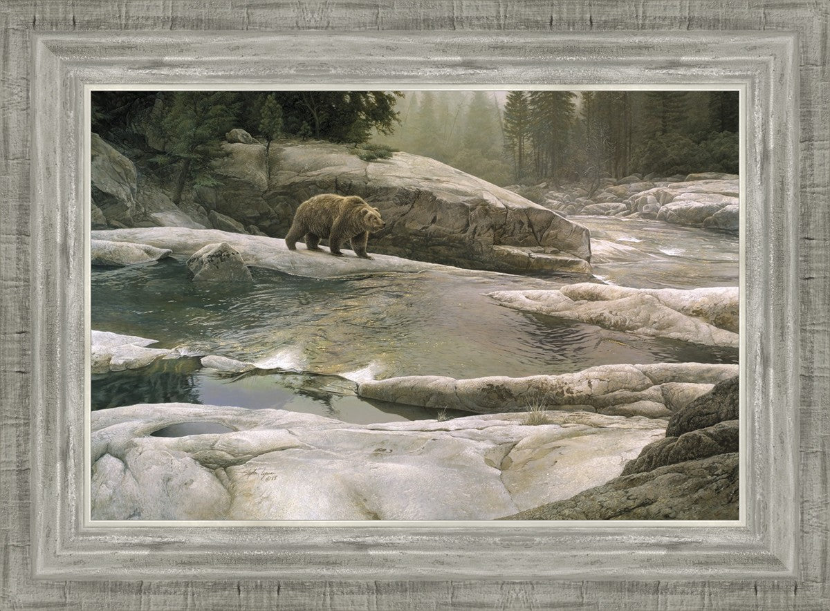 Uzumati - Great Bear of Yosemite