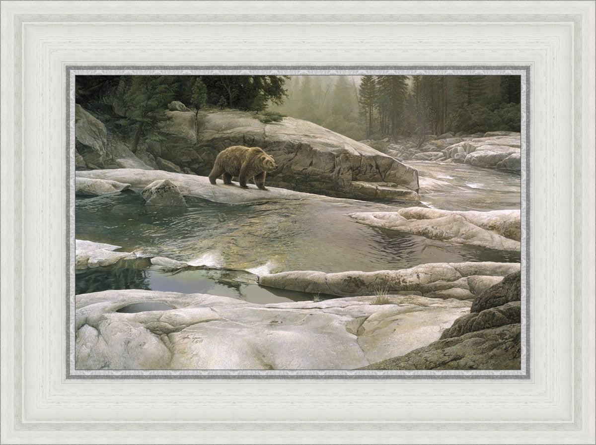 Uzumati - Great Bear of Yosemite