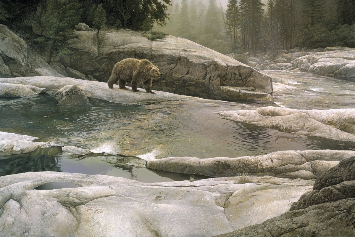 Uzumati - Great Bear of Yosemite