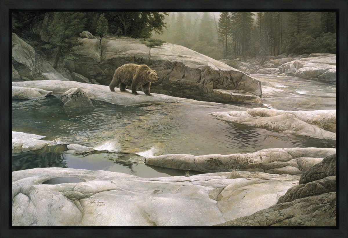 Uzumati - Great Bear of Yosemite