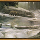 Uzumati - Great Bear of Yosemite