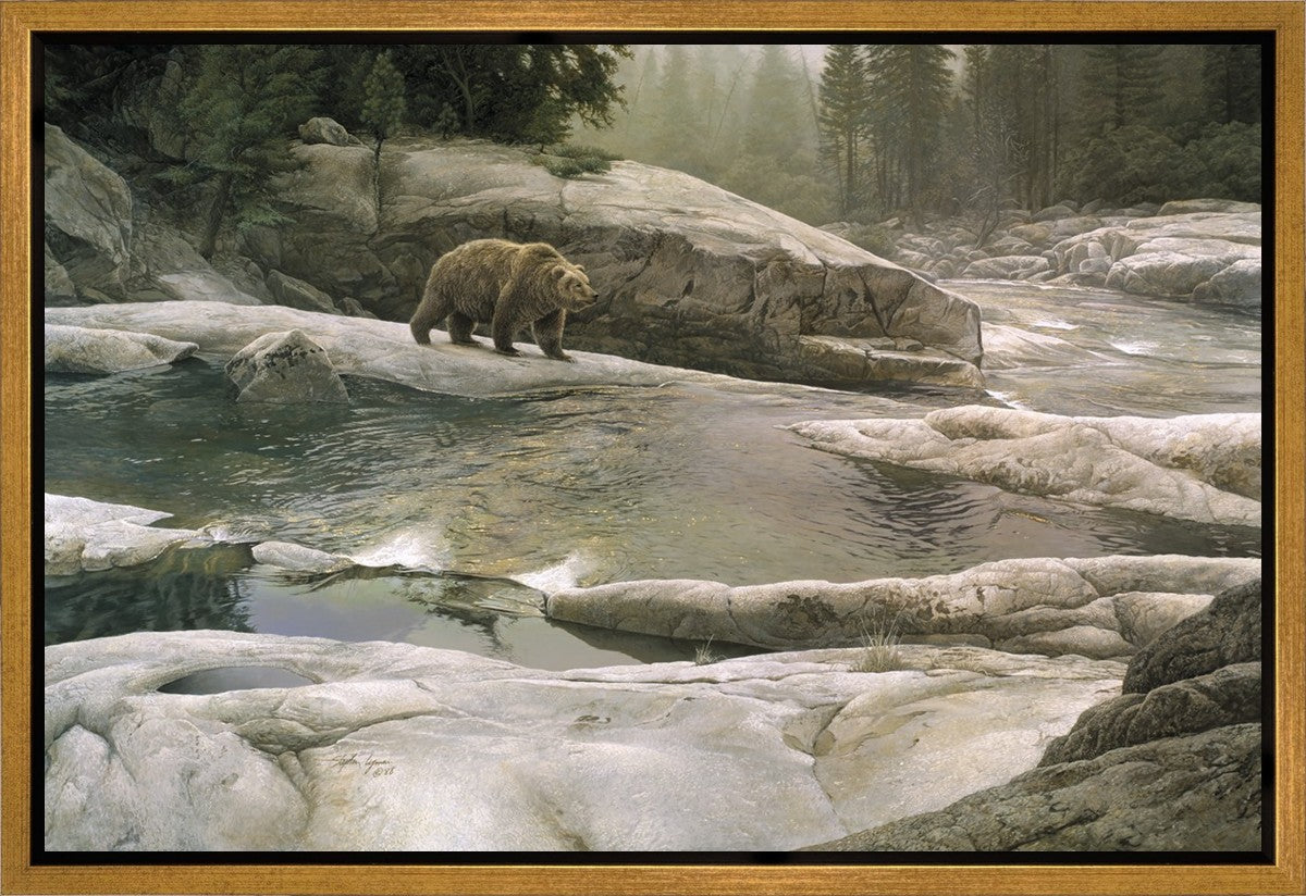 Uzumati - Great Bear of Yosemite